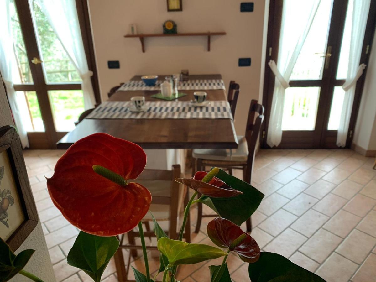 Villa Panorama Gargnano Luaran gambar
